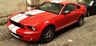 Mustang Race