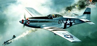 Mustang P-51