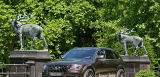 Audi Q5 Senner Tuning